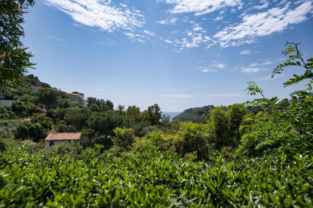 Alloggi Del Mirto A Morcone - Goelba Capoliveri  Eksteriør bilde